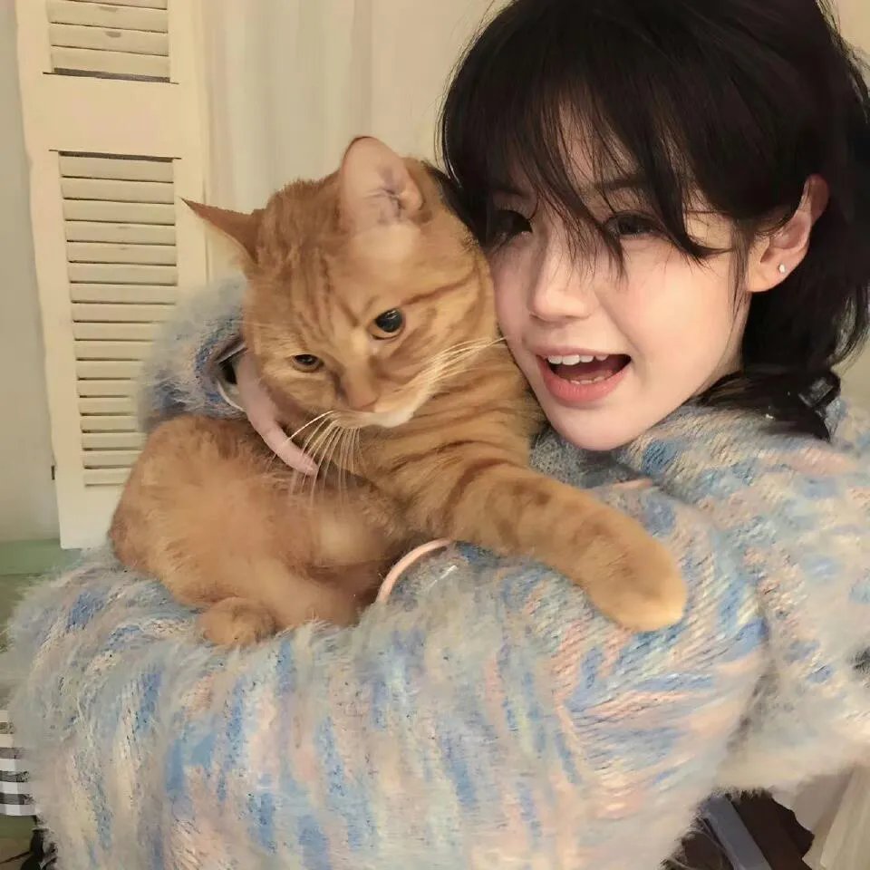 翱翔于天际的夜鹰